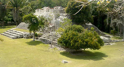 Costa Maya, Kohumlich